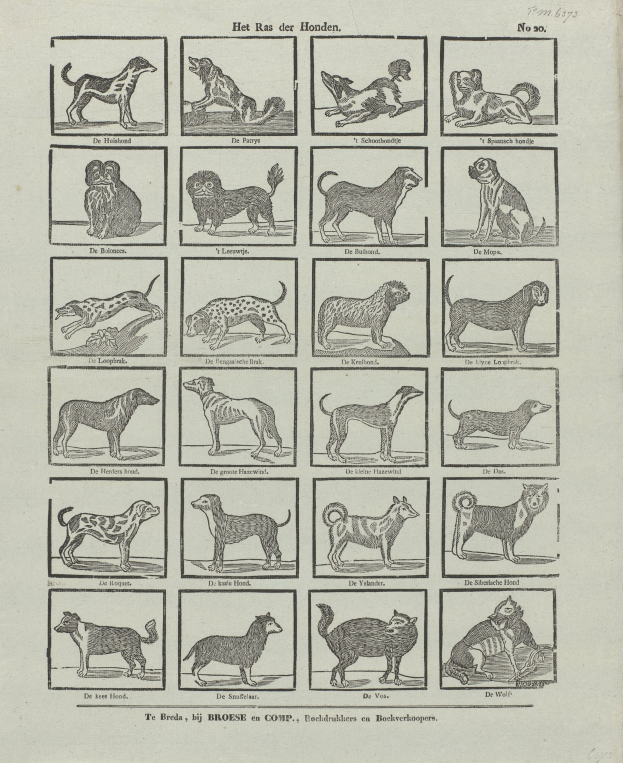 Ein altes Buch, das auf einer Seite mit Abbildungen verschiedener Hundewelpen und begleitendem Text aufgeschlagen ist.