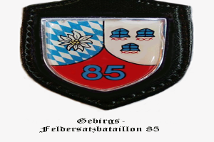 Ein Abzeichen mit der Nummer 85 und deutscher Schrift unten, das das Logo der bayerischen Fußballmannschaft darstellt.