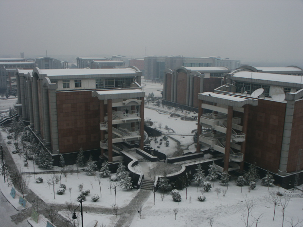 Ein schneebedeckter Campus aus der Perspektive eines Gebäudes, mit Gebäuden, Bäumen, Pflanzen, Pfählen, Lampen, Schildern und Fahrzeugen auf der Straße, mit einem klaren Himmel im Hintergrund.