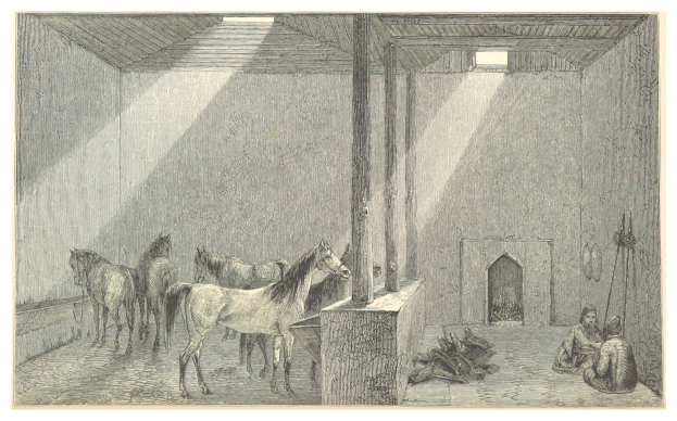 Zeichnung eines Raums mit zwei Pferden, zwei auf dem Boden sitzenden Personen und verschiedenen verstreuten Gegenständen sowie Text unten.