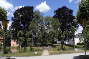 Ein nächtlicher Park mit beleuchteten Bäumen und Straßenlaternen, mit einer Straße, Gras, Pflanzen, Gebäuden und einem bewölkten Himmel im Hintergrund.