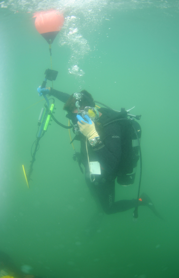 Ein Tauchender in einem schwarzen Neoprenanzug mit einem Sauerstoffgerät, der ein Objekt unter Wasser hält.