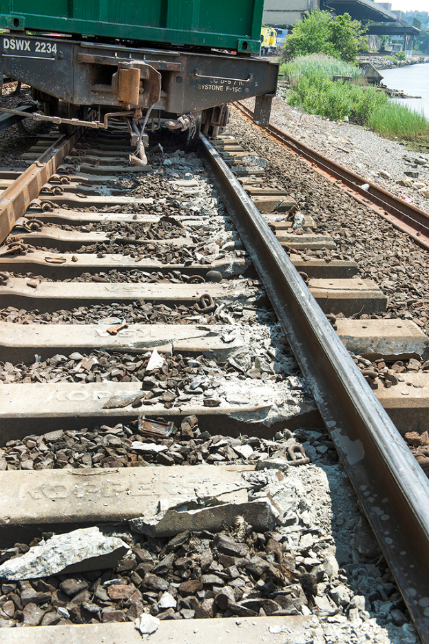 Ein Zug auf einer Eisenbahnschiene mit grünen Pflanzen auf der rechten Seite.