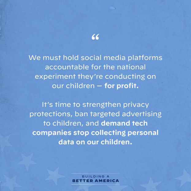 Ein Plakat mit einem Zitat aus Building a Better America, das besagt: "Wir müssen die Social-Media-Plattformen für das nationale Experiment zur Rechenschaft ziehen, das sie an unseren Kindern durchführen - zum Profit.", verziert mit Sternen.