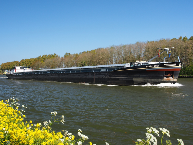 Ein großes Boot fährt einen Fluss mit grünen Bäumen an den Seiten und einem hellblauen Himmel hinunter, mit leuchtend gelben Blumen am unteren Rand des Bildes.