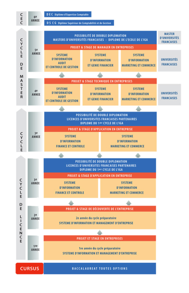 Ein Diagramm der organisatorischen Struktur eines Unternehmens mit miteinander verbundenen Kästchen, die die Entwicklungsphasen darstellen, jeweils mit beschreibendem Text zu den Rollen und Verantwortlichkeiten.
