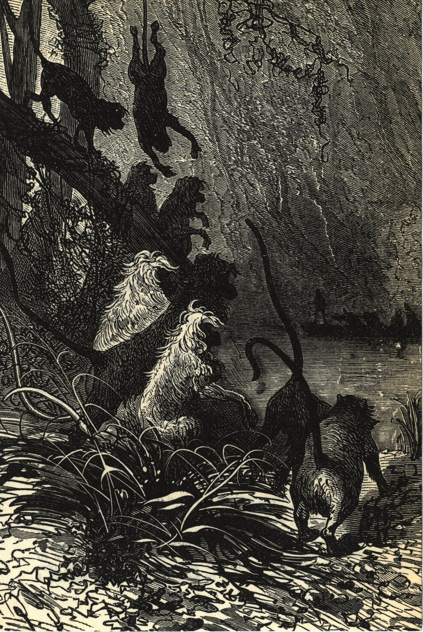 Schwarze und weiße Illustration einer Gruppe von Löwen in einer Dschungelumgebung mit üppigen Pflanzen und Bäumen, die den Text 'Der König der Löwen' unten zeigt.