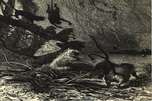 Schwarze und weiße Illustration einer Gruppe von Löwen in einer Dschungelumgebung mit üppigen Pflanzen und Bäumen, die den Text 'Der König der Löwen' unten zeigt.