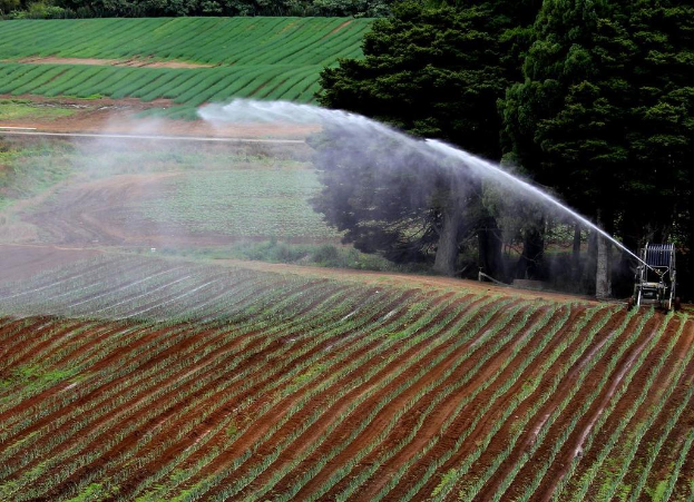 Landwirtschaftliches Feld mit verschiedenen Kulturen, einer Bewässerungsmaschine im Vordergrund und einer Baumreihe mit mehr Kulturen im Hintergrund.