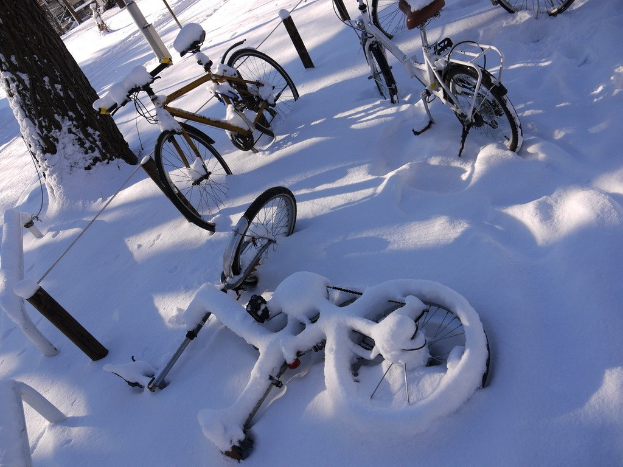 Eine Reihe von Fahrrädern, die teilweise von Schnee bedeckt sind, mit einem Baumstamm und Straße daneben.