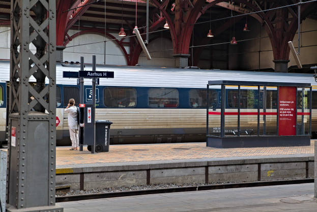 Ein Zug fährt auf einem Bahnsteig ein mit einer Person in der Nähe, einem Müllcontainer, Pfölen, Informationsschildern und Deckenleuchten.
