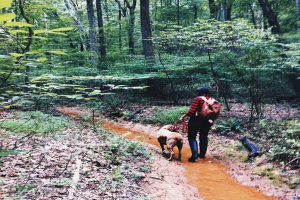 Eine Frau in rotem Shirt und schwarzen Jeans, die einen Rucksack trägt, geht durch flaches Wasser und hält einen Hund an der Leine, umgeben von Pflanzen und Bäumen.