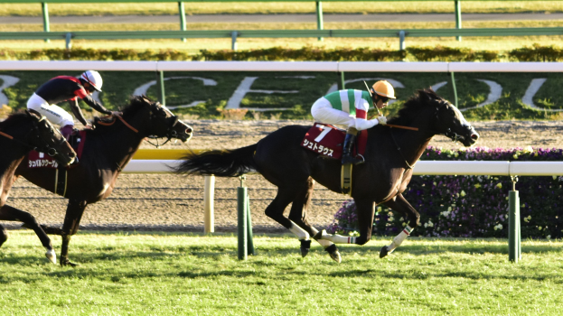 Zwei Jockeys in Helmen lenken Pferde auf einer von Grün umgebenen Bahn, mit einer Absperrung und einem Textschild im Hintergrund.