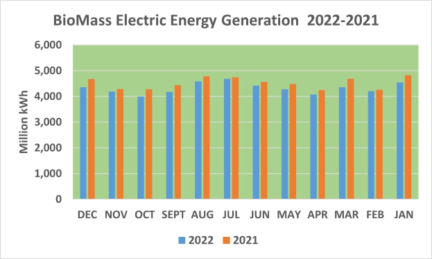 Grafik, die die Stromerzeugung aus Biomasse von 2021 bis 2022 zeigt, mit begleitendem erklärendem Text.