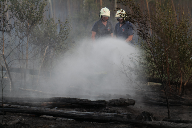 Zwei Feuerwehrleute in Helmen sprühen Wasser auf einen Waldbrand in einem bewaldeten Gebiet mit Holzstämmen auf dem Boden und Bäumen im Hintergrund.