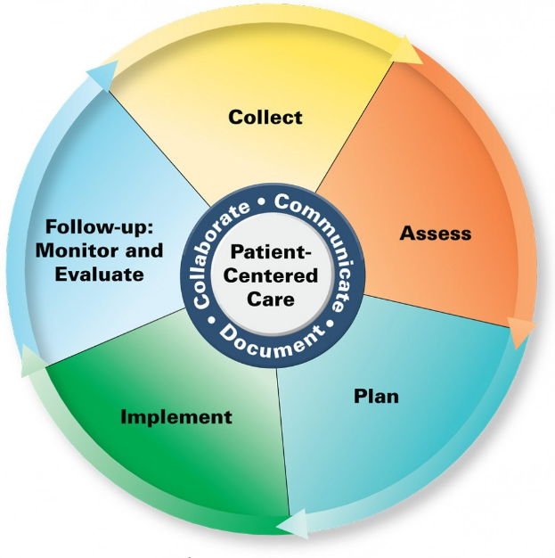 Kreisförmige Diagramm mit der Bezeichnung "patientenorientierte Pflege" mit vier farbigen Abschnitten, die jeweils mit einem spezifischen Pflegebereich beschriftet sind.