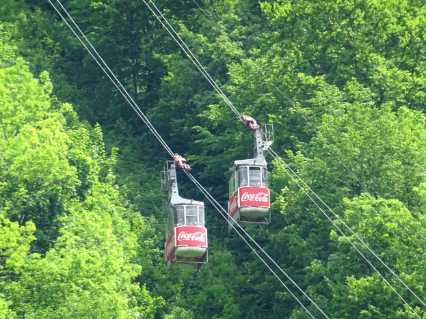 Zwei Seilbahnen fahren einen Berg hinauf mit Bäumen im Hintergrund.